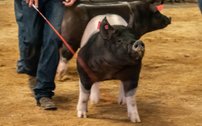 Pennington County Fairgrounds